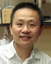 Haining Zhong, Ph.D.