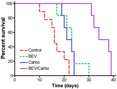 Graph from preclinical trial indicating that tumored rats treated with Carboplatin plus Avastin had better survival rates and times than the other rats in the trial