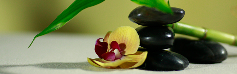 A zen image of flowers and rocks