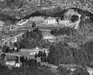 Aerial view of Marquam Hill