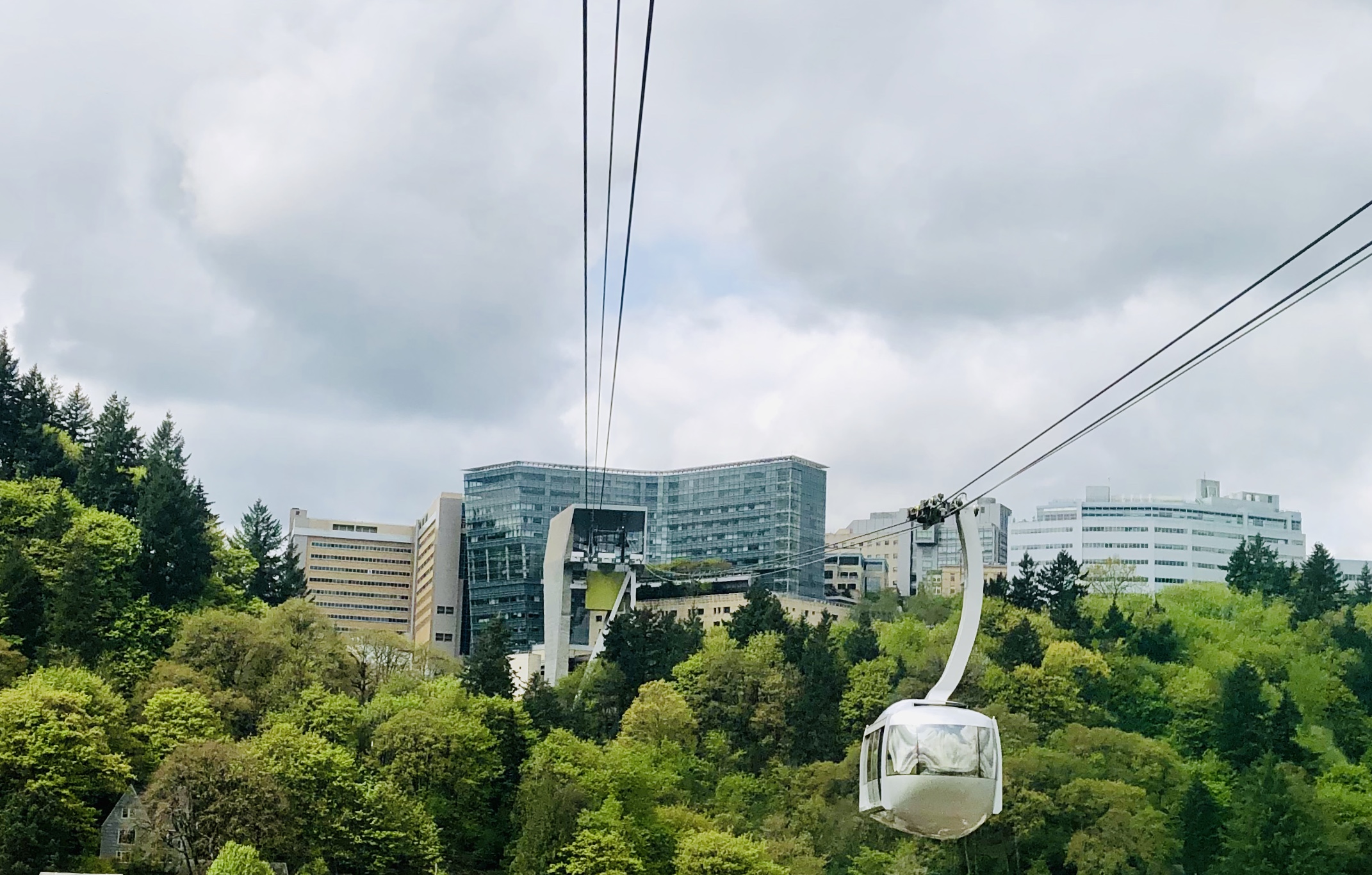 Marquam Hill from the Tram