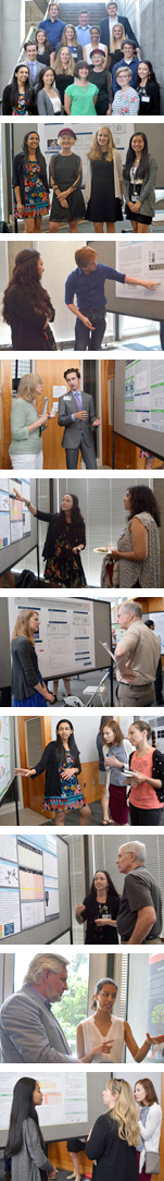 Images from the 2017 summer intern poster session where the interns presented their research in poster form and explained their research to the Institute's faculty and staff