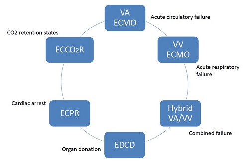 Types of ECMO