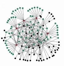 Connected graph showing a visual representation of a connected graph or network.