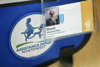 A close-up of the OHSU identify badge for Davis, the therapy dog, and his uniform (blue vest with logo)
