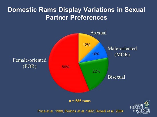 Ram sexual partner diagram