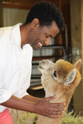 Fikadu Tafesse smiles while petting an alpaca. 