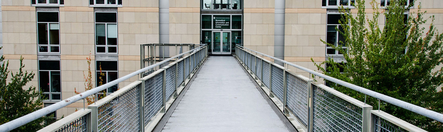 walkway to the BICC building