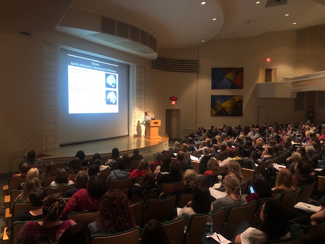 A speaker presents a lecture to a full auditorium.