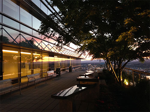 Sunrise colors are reflected off Kohler Pavilion windows on the viewing deck, with a tree in the foreground
