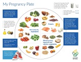 Representation of My Pregnancy Plate Downloadable PDF