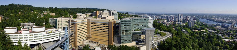 Panoramic view of OHSU's Marquam Hill campus.