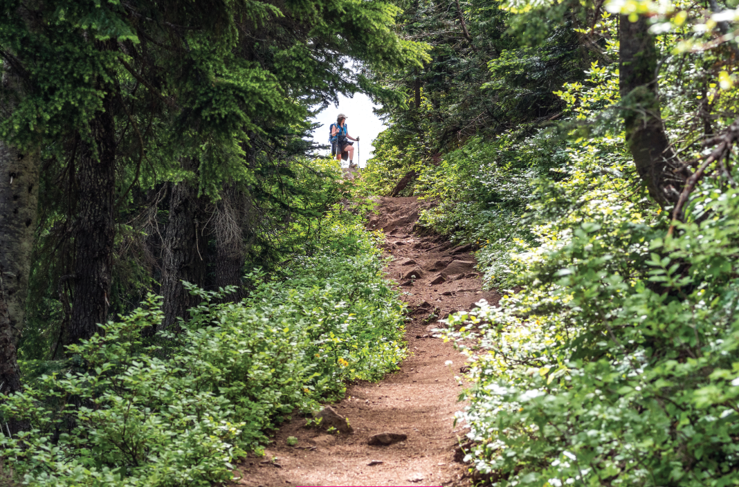 woman in distance at end of trail through the woods