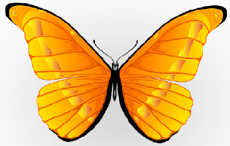 Yellow Butterfly Icon