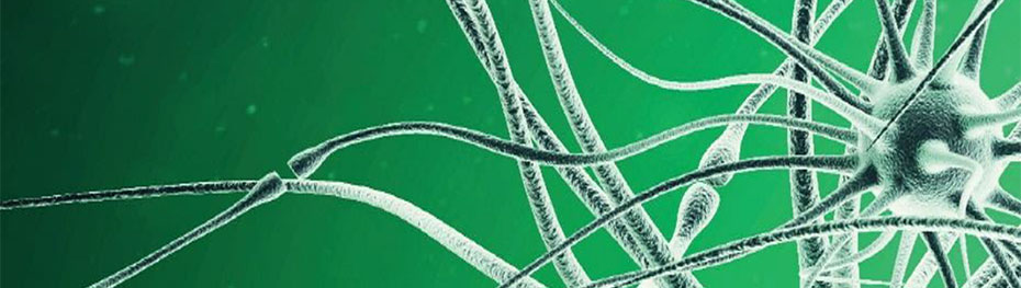 Close up view of a neuron floating on a green background