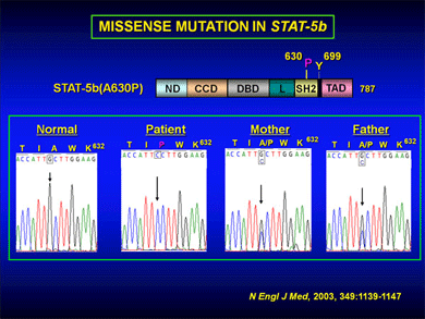 Diagram showing the Missense Mutation in Stat-5b