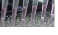 Image is close-up of pipettes. Link to page about research at the Methamphetamine Abuse Research Center