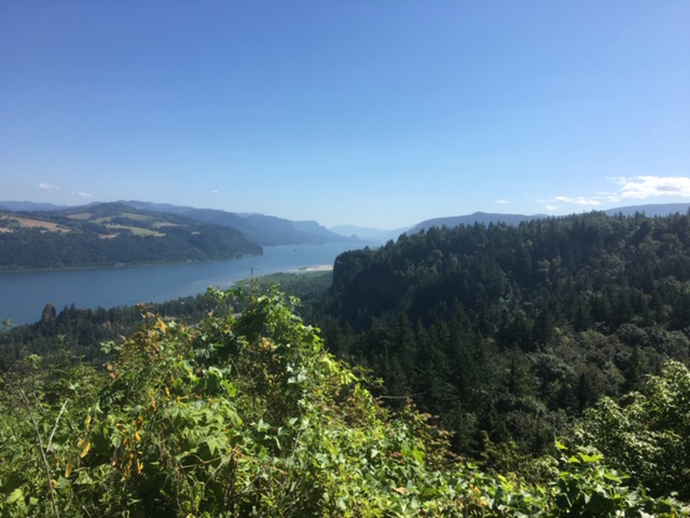 Dr. Wilson travels towards The Dalles and enjoys a spectacular vista of the gorge.