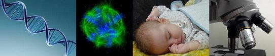 collage image of dna, cell, baby and microscope