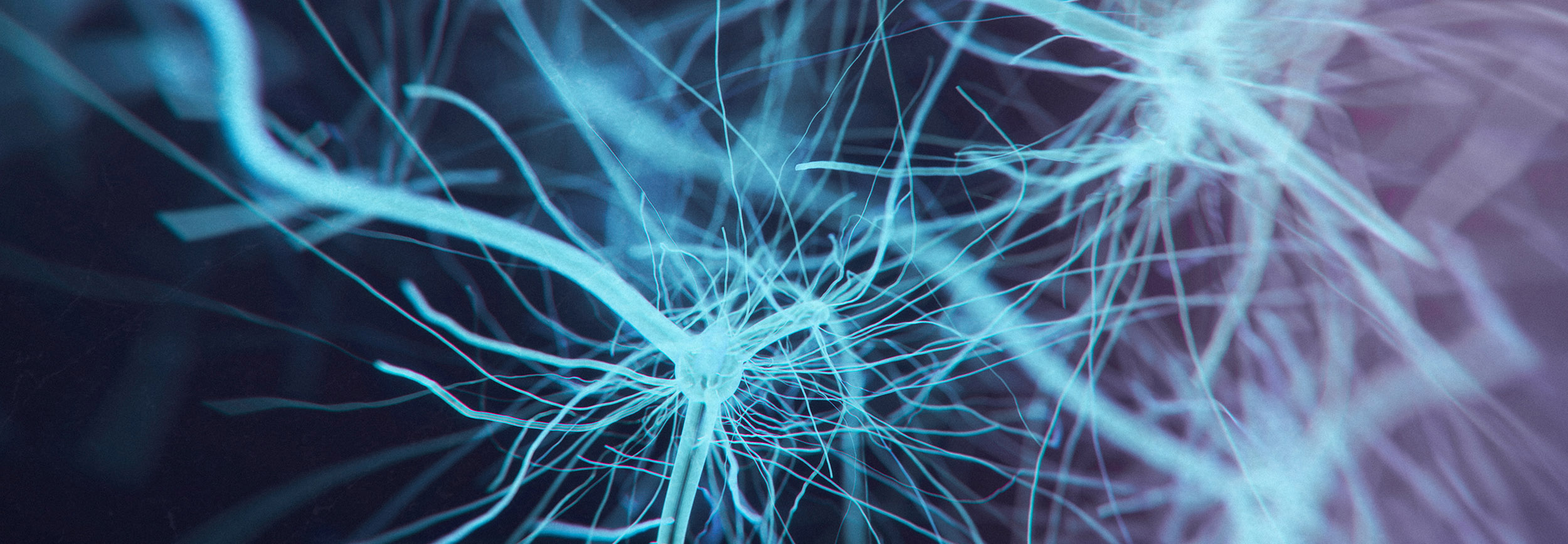 stock image of neurons