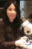 Xiaorui Shi, M.D., Ph.D., Associate Professor