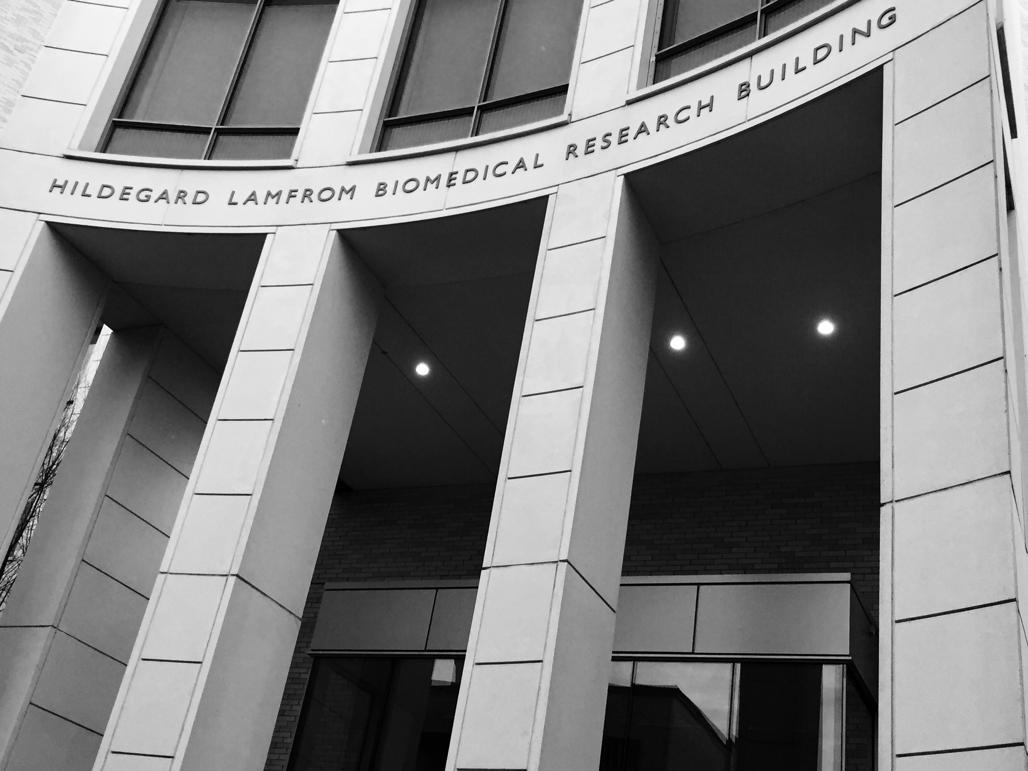Exterior shot of the Lamfrom Biomedical Research Building