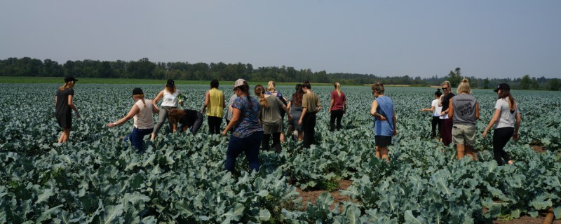 Rural farm visit - GPHN