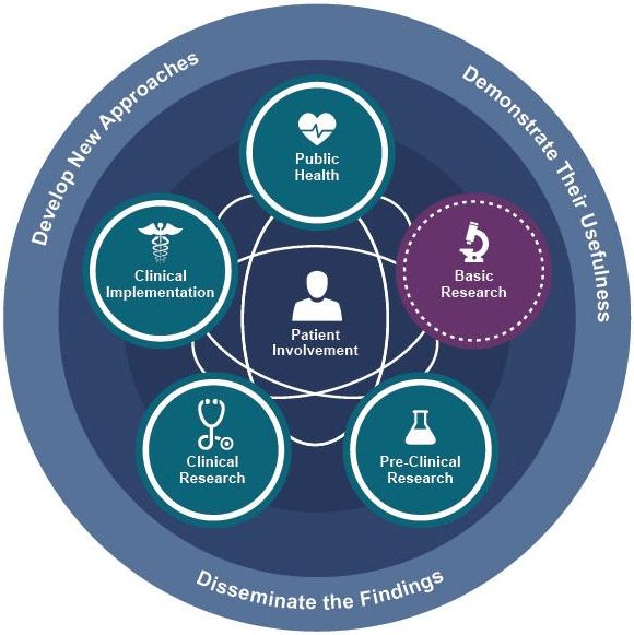 The translational science spectrum represents each stage of research along the path from the biological basis of health and disease to interventions that improve the health of individuals and the public. 