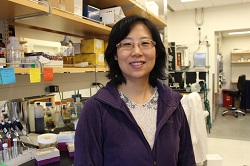 Bingbing Li standing in lab