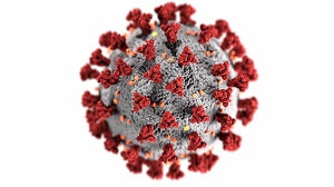Image of the COVID-19 virus.
