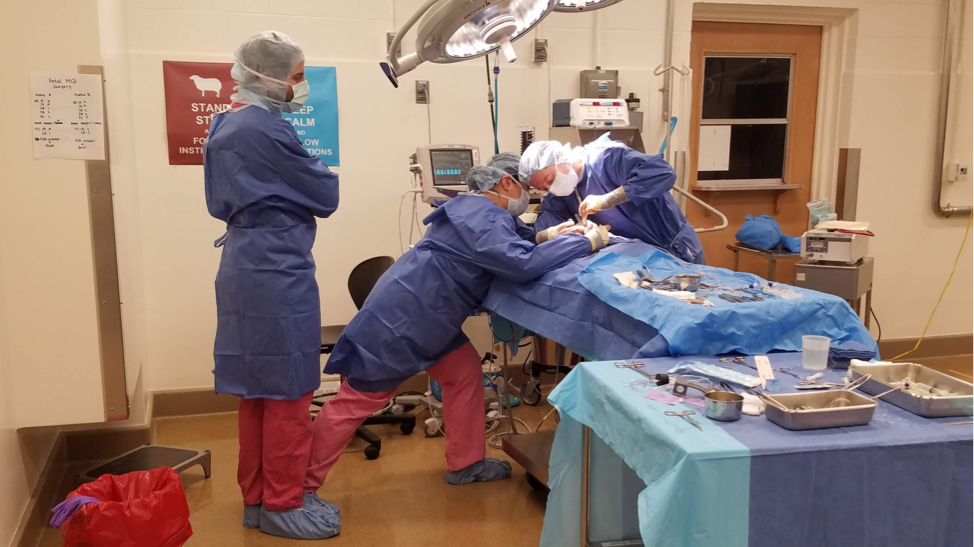 teamwork in surgery