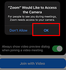 Allow Zoom access