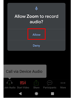 Allow Zoom audio message | Permitir mensaje de audio de Zoom