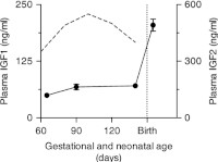 IGF1 and IGF2 during the perinatal period.