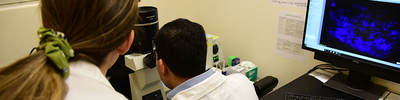 Dr. Kulkarni and a lab assistant examine research results in a microscope