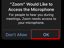 Provide Zoom access to iPhone microphone