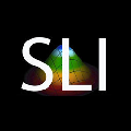 Logo for St Laurent Institute