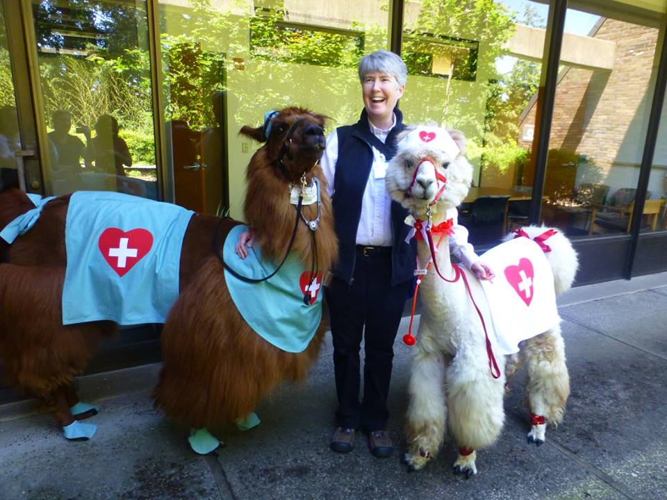 Dr. Susan Hayflick with Rojo the llama