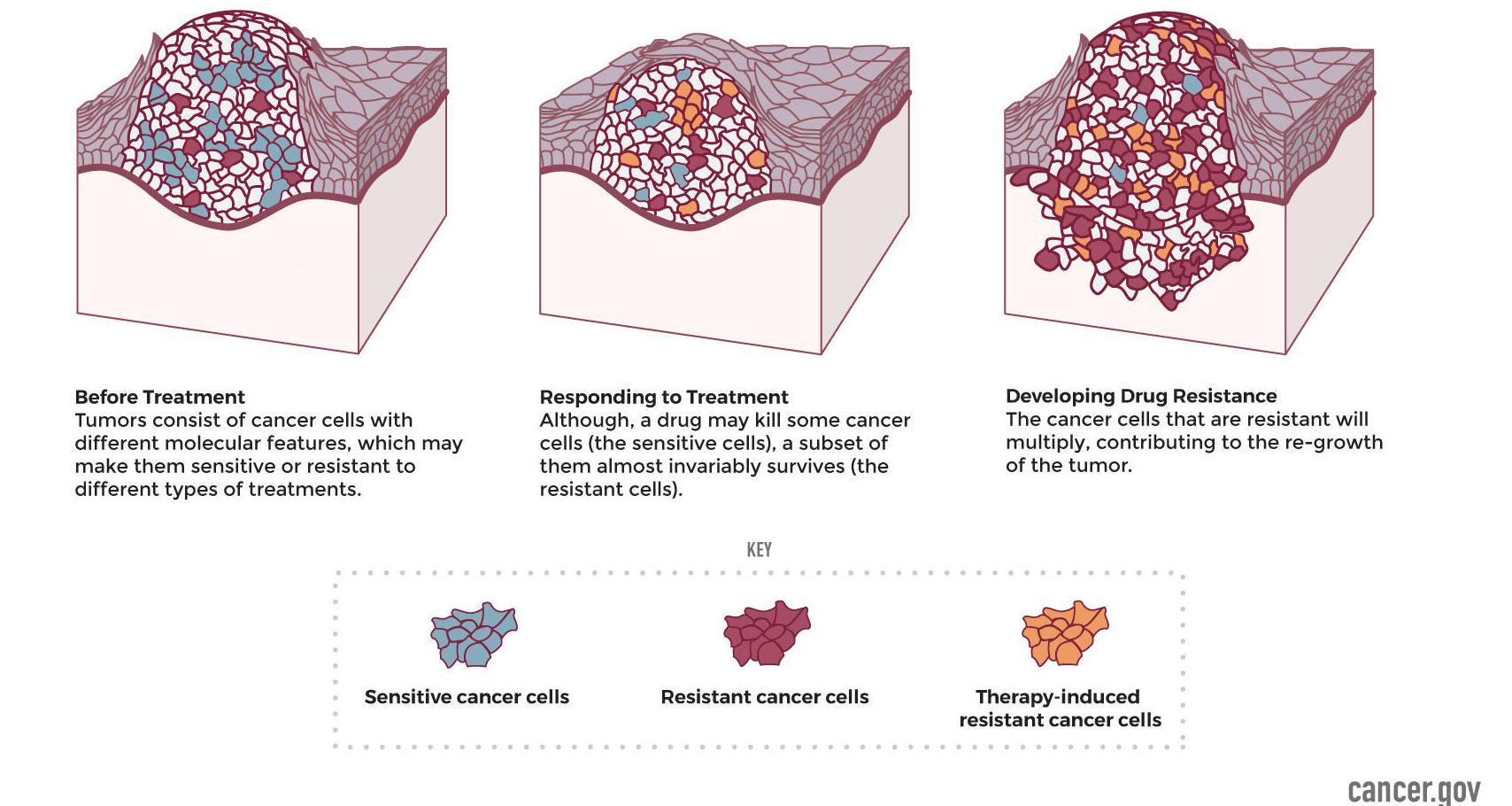 Illustration of treatment resistance