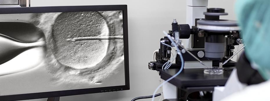 Close up image of in vitro fertilization process