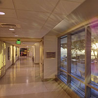 Morning light shines in through the windows of an empty hospital hallway