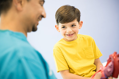 A doctor showing a child a model of a heart