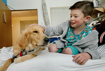 Photo of a Doernbecher patient with one of the therapy dogs