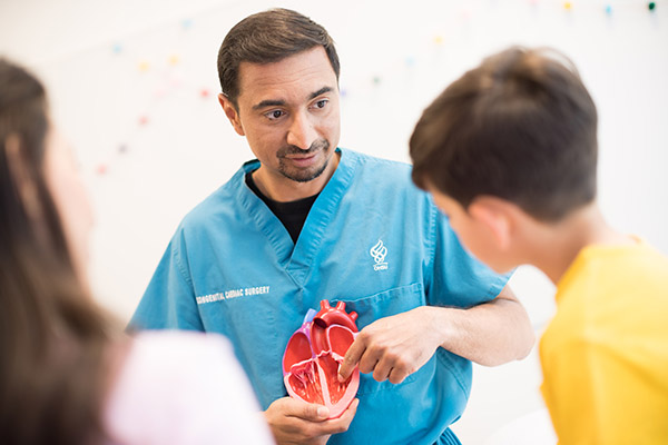 Dr. Ashok Muralidaran with a model of a heart