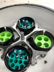 Four vials in a centrifuge are shown, there are four centrifuge rotors, two are green and two are teal in color. 