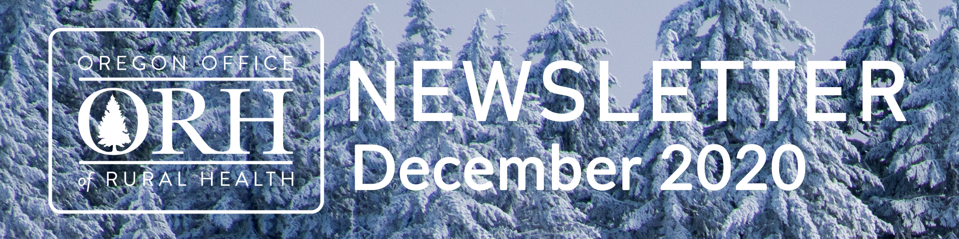 December 2020 Newsletter Banner