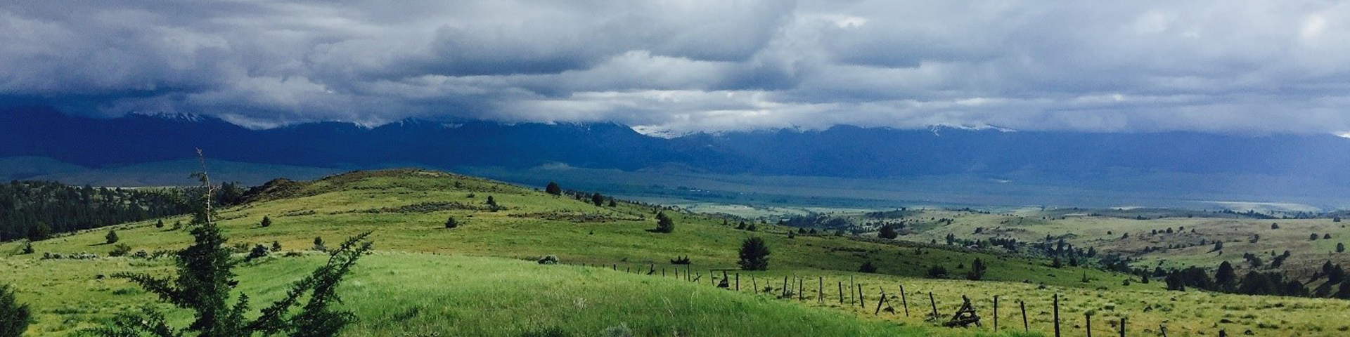 Meadow with Clouds