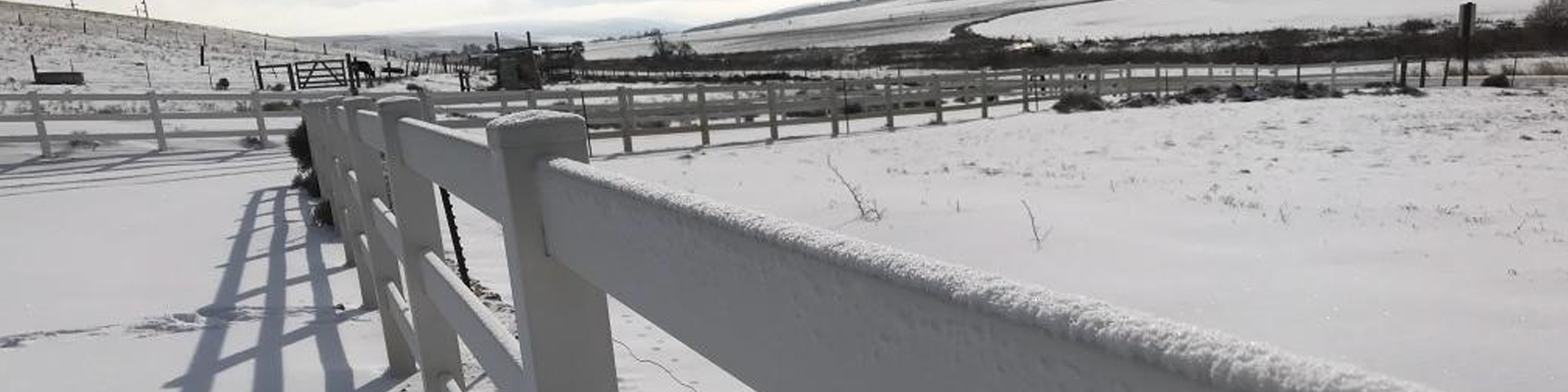 Snowy Fence