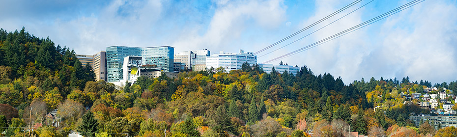 Photo of Marquam Hill Campus, view from South Waterfront