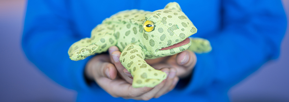 A close-up of a child's hands holding a stuffed toy frog.